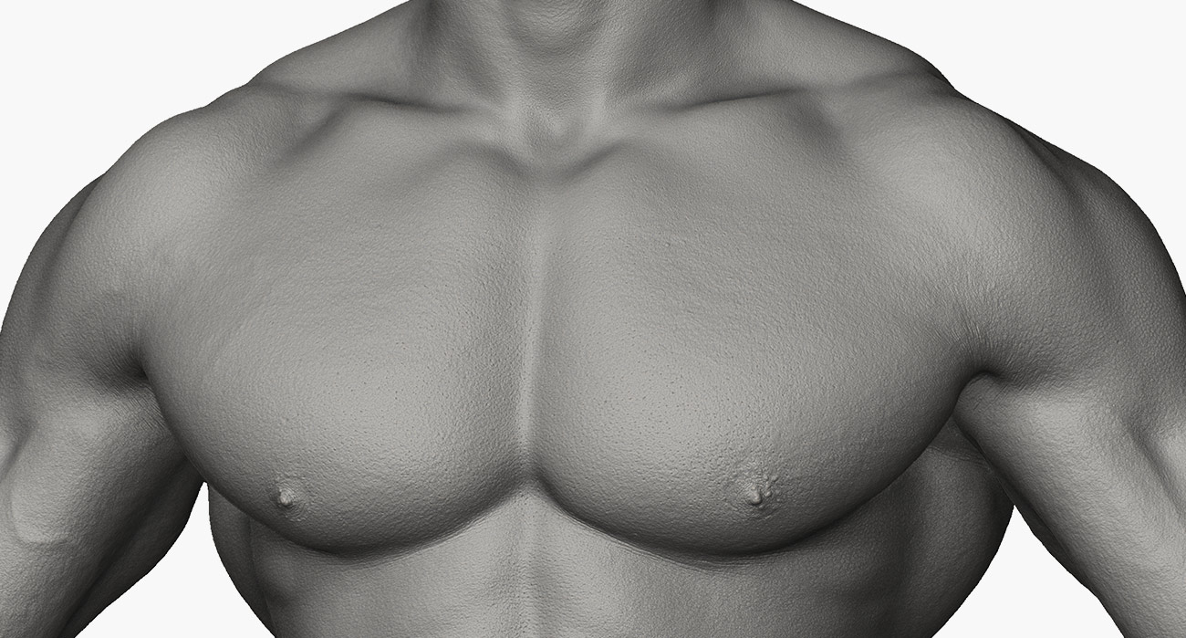 Download muscular  male 3d body model for zbrush 